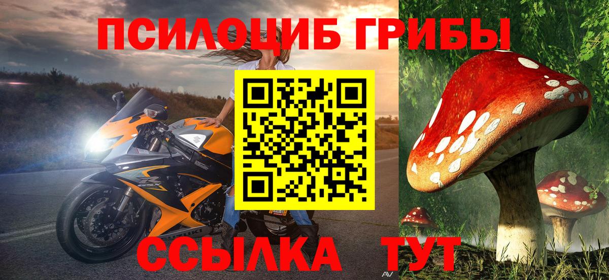 Галлюциногенные грибы GOLDEN TEACHER  Вход с VPN  Липецк 